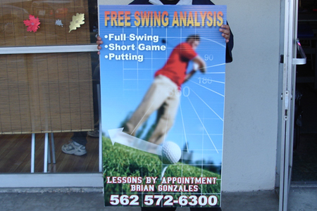 Free Swing Analysis