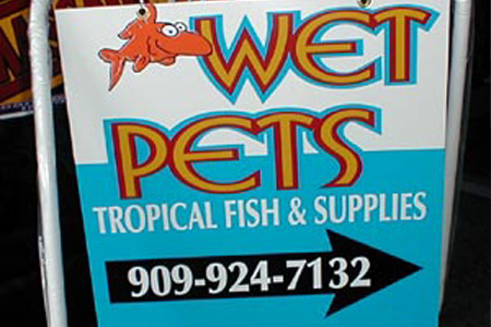 Wet Pets