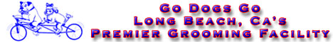 Go Dogs Go - Dog Grooming in Long Beach, CA